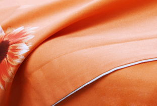 逸轩家纺 花飞舞 精品加厚磨毛四件套，温暖与浪漫的完美融合