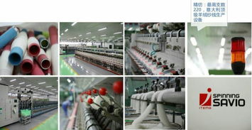 宁夏嘉源针织厂新年贺词